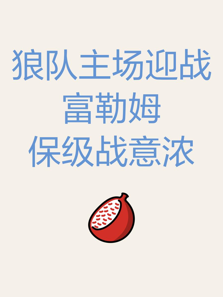 狼队主场胜利，争取残留英超席位